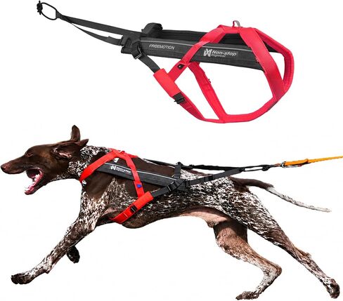 Non-stop dogwear Freemotion Harness 5.0 Dog Pulling Harness for Sports Like Running, Biking and Skiing with Dogs, Professional Adjustable Dog Harness, Orange/Black, Size 6 in Saudi Arabia