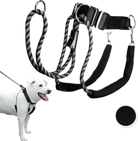 SPORN Dog Harness, Black, Large in Kuwait