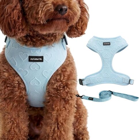 No Pull Dog Harness & Leash Set with Cute Heart Print, Soft Padded, XSmall in Kuwait