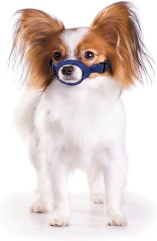 Four Flags Quick Muzzle (XL) in Kuwait