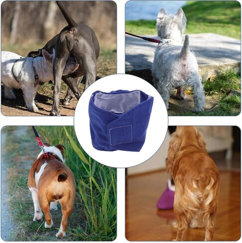 Blue Size Fabric Male Dog Sanitary Underwear Belly Wrap Band in Saudi Arabia