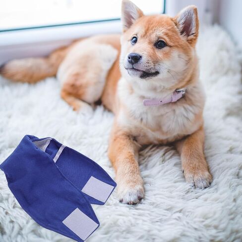 Blue Size Fabric Male Dog Sanitary Underwear Belly Wrap Band in Saudi Arabia