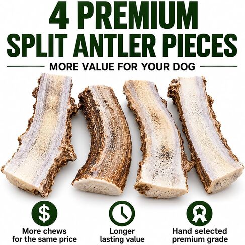 Big Dog Antler Chews Premium Antlers for Dogs -4 piece Bulk Pack Splits - All Natural Organic Antler Dog Chews - Sourced in the USA in Saudi Arabia