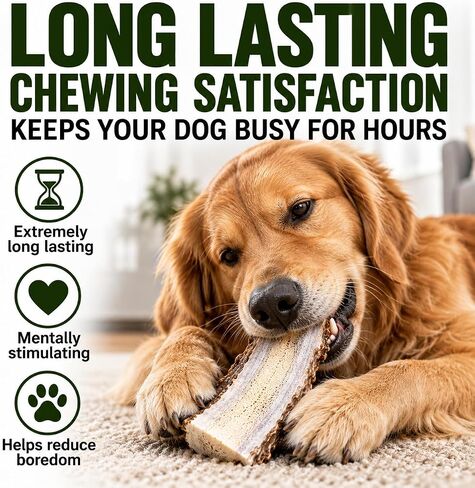 Big Dog Antler Chews Premium Antlers for Dogs -4 piece Bulk Pack Splits - All Natural Organic Antler Dog Chews - Sourced in the USA in Saudi Arabia