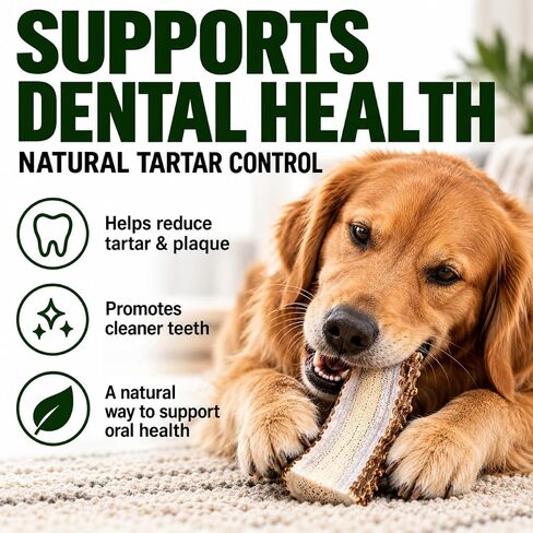 Big Dog Antler Chews Premium Antlers for Dogs -4 piece Bulk Pack Splits - All Natural Organic Antler Dog Chews - Sourced in the USA in Saudi Arabia