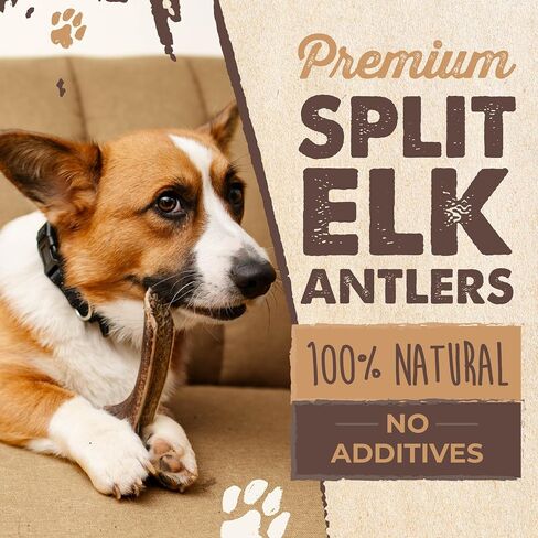 Mighty Paw Naturals Split Elk Antler for Dogs | USA Sourced, Long Lasting Chew for Aggressive Chewers – Low Odor, Natural Alternative to Dog Toys in Kuwait