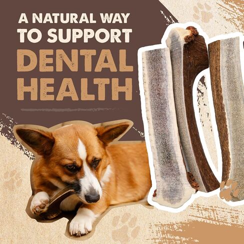 Mighty Paw Naturals Split Elk Antler for Dogs | USA Sourced, Long Lasting Chew for Aggressive Chewers – Low Odor, Natural Alternative to Dog Toys in Kuwait