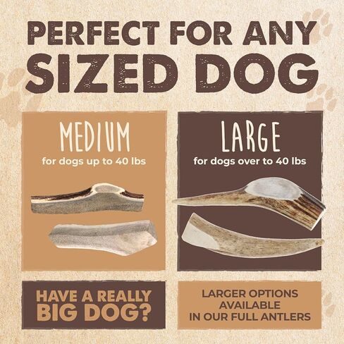 Mighty Paw Naturals Split Elk Antler for Dogs | USA Sourced, Long Lasting Chew for Aggressive Chewers – Low Odor, Natural Alternative to Dog Toys in Kuwait