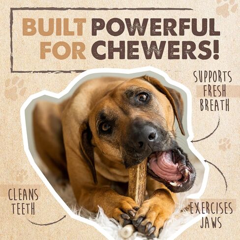 Mighty Paw Naturals Split Elk Antler for Dogs | USA Sourced, Long Lasting Chew for Aggressive Chewers – Low Odor, Natural Alternative to Dog Toys in Kuwait