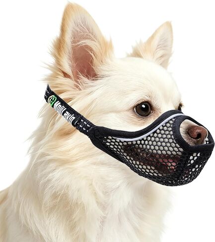 Basket Muzzle for Small Dogs Short Snout Anti-Scavenging No Bite in Saudi Arabia
