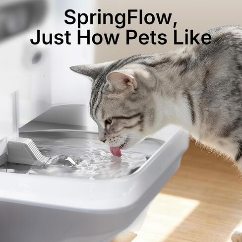 PETKIT Eversweet Ultra Cat Water Fountain with AI Camera, Filterless in Kuwait