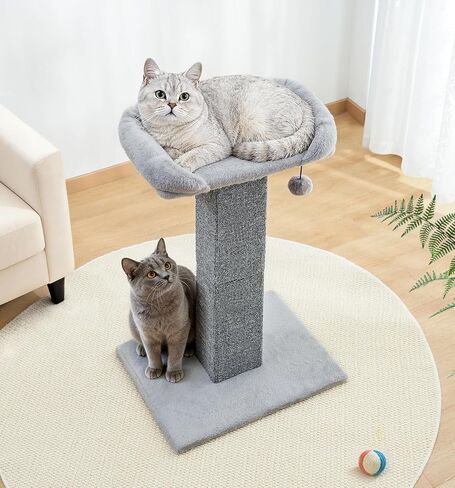 Made4Pets 32" Carpet Cat Scratching Post with Bed for Indoor Cats, Grey in Kuwait