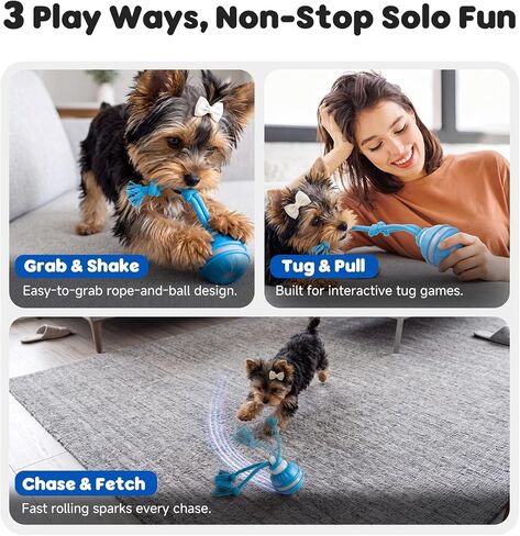 Interactive Small Dog Toys Ball, Smart Automatic Moving Rolling Dogs Toy in Saudi Arabia
