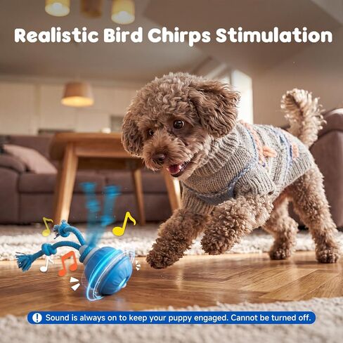 Interactive Small Dog Toys Ball, Smart Automatic Moving Rolling Dogs Toy in Saudi Arabia