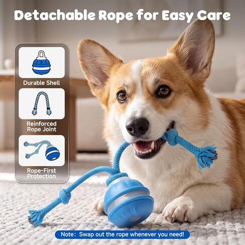 Interactive Small Dog Toys Ball, Smart Automatic Moving Rolling Dogs Toy in Saudi Arabia
