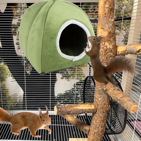 Squirrel Hideout Nest, Washable Bed & Hideaway House in Saudi Arabia