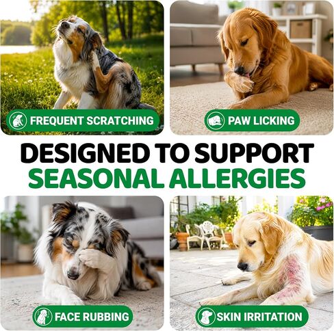 Dog Allergy Chews for Itchy Skin - 240 Treats - Anti-Itch Immune Relief in Kuwait