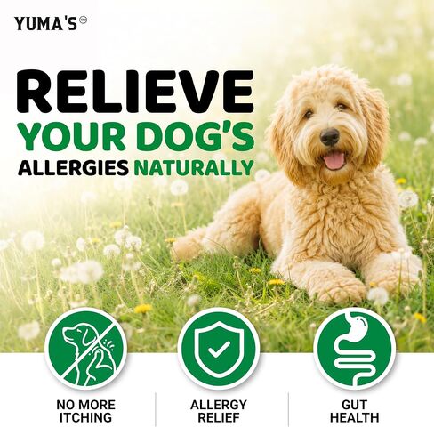 Dog Allergy Chews for Itchy Skin - 240 Treats - Anti-Itch Immune Relief in Kuwait
