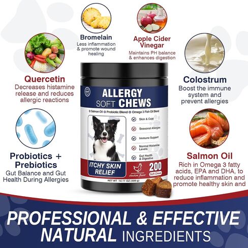 Dog Allergy Chews 200 Treats, Dog Allergy and Itching Skin Relief Bites Immune Support Dogs Probiotics for Yeast, Itchy Skin and Itchy Ears Anti Itch Licking Paws Treatment for Dogs Chicken Flavor in Kuwait