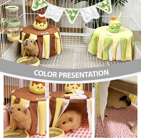 Guinea Pig Hide with Curtain Bottomless Guinea Pig Accessories in Kuwait