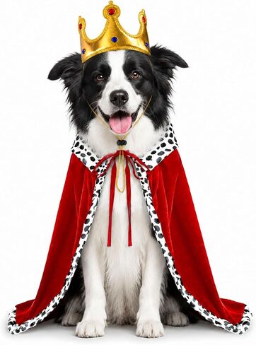 Dog Halloween Costumes for Large Dogs,Funny Dog Costume King Crown Cape(L) in Kuwait