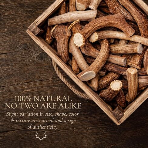 WhiteTail Naturals Economy Deer Antlers for Dogs, 1 lb Bulk, 4-5 Ct in Kuwait