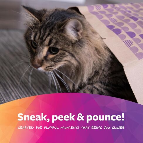 SmartyKat (2 Count) Catnip Caves Catnip Infused Bag Cat Toys - Brown, 2 Count in Kuwait