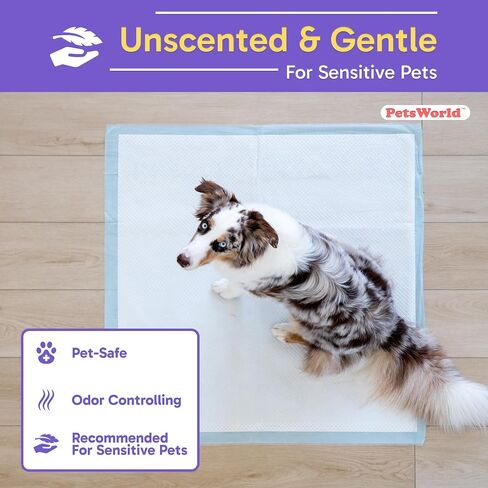PETSWORLD Giant Dog Potty Pads, Odor-Eliminating, 36" x 36", Ultra Absorbent 5-Layer Leak-Proof Training Pads for Dogs & Cats (36x36, 150 Count) in Kuwait