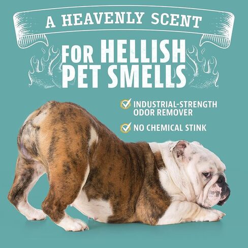 ANGRY ORANGE Dual Scent Pet Odor Eliminator – Citrus & Fresh Spray for Dog and Cat Urine, Carpet Stains, and Strong Smells in Kuwait