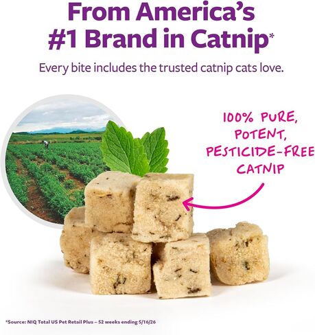 SmartyKat Freeze Dried Real Chicken & Catnip Crunchy Cube Treats for Cats, 2.8 oz Bag in Kuwait