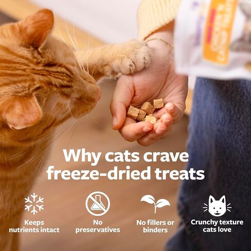 SmartyKat Freeze Dried Real Chicken & Catnip Crunchy Cube Treats for Cats, 2.8 oz Bag in Kuwait