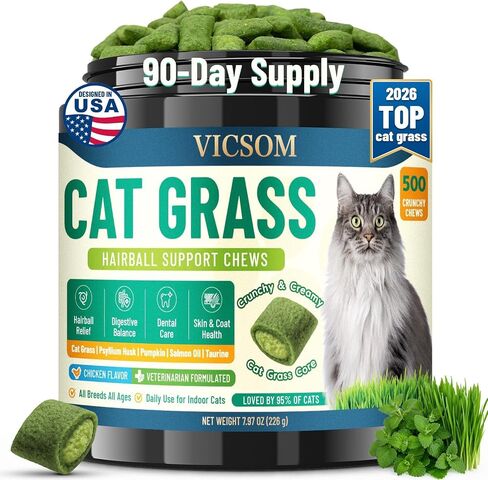 VICSOM Cat Grass Treats for Indoor Cats, Hairball Treats for Cats 500 Chews in Kuwait
