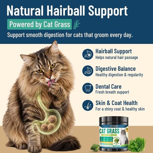 VICSOM Cat Grass Treats for Indoor Cats, Hairball Treats for Cats 500 Chews in Kuwait