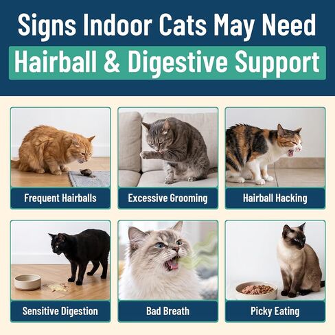 VICSOM Cat Grass Treats for Indoor Cats, Hairball Treats for Cats 500 Chews in Kuwait