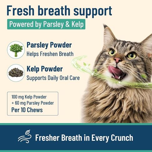 VICSOM Cat Grass Treats for Indoor Cats, Hairball Treats for Cats 500 Chews in Kuwait