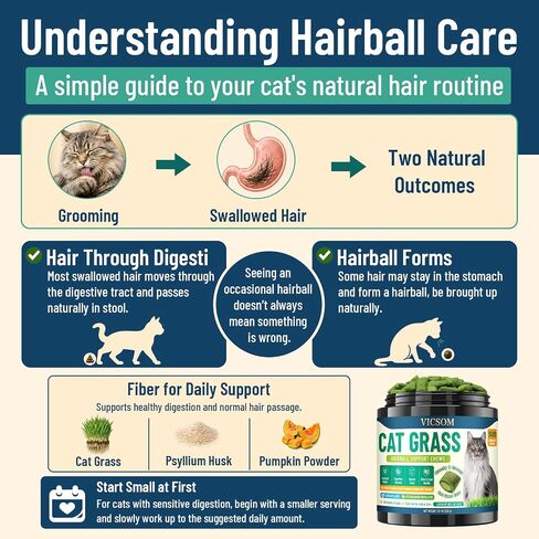 VICSOM Cat Grass Treats for Indoor Cats, Hairball Treats for Cats 500 Chews in Kuwait