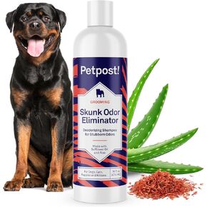 Petpost | Skunk Odor Eliminator Shampoo for Dogs & Cats. Neutralizes Strong Odors. Gentle & Safe Formula. 16 oz in Kuwait