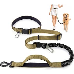 PETCARE 4 in 1 Hands Free Dog Leash with Car Seatbelt Buckle, Shock Absorbing Bungee Dog Waist Leash Belt for Running Walking Hiking, Dual Handles & Reflective, Adjustable for Small Medium Large Dogs in Kuwait