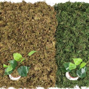 MAPVOLUT 30 OZ/1.87 LB Artificial Moss for Plants Indoor, Green Fake Moss for DIY Crafts, Decorative Moss for Fairy Gardens, and Potted Plants - Natural Texture & Durable Moss for Planter Filler in Kuwait