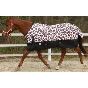 Leopard 1200 Denier Midweight Waterproof Turnout Blanket in Saudi Arabia