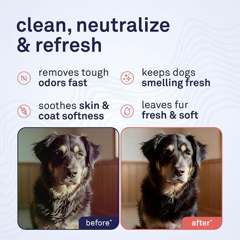 Petpost | Skunk Odor Eliminator Shampoo for Dogs & Cats. Neutralizes Strong Odors. Gentle & Safe Formula. 16 oz in Kuwait