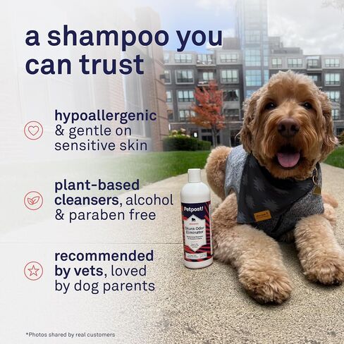 Petpost | Skunk Odor Eliminator Shampoo for Dogs & Cats. Neutralizes Strong Odors. Gentle & Safe Formula. 16 oz in Kuwait