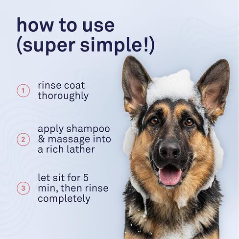 Petpost | Skunk Odor Eliminator Shampoo for Dogs & Cats. Neutralizes Strong Odors. Gentle & Safe Formula. 16 oz in Kuwait