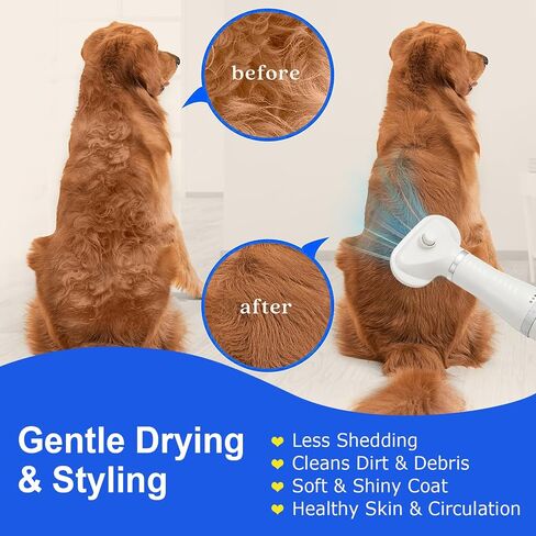 3-in-1 Pet Hair Dryer Brush for Dogs & Cats – Portable Blower & Slicker Brush, Adjustable Temperature, Overheat Protection in Saudi Arabia