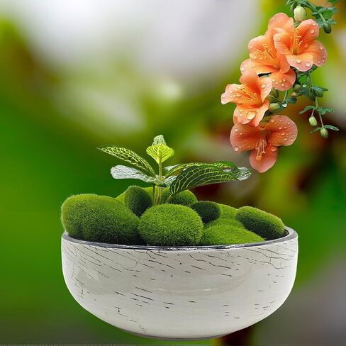 Artificial Moss Rocks Moss Stones Green Moss Balls 20 PCS 2 Sizes Fake Faux Green Moss Decor for Fairy Gardens Floral Arrangements Craft Plants Indoor Planter Table Weddings Parties in Saudi Arabia