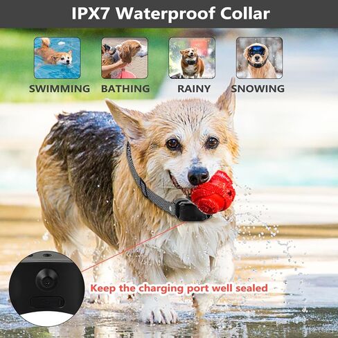 Citronella Bark Collar for Dogs with Remote, No Shock, 1000ft Range (Green) in Kuwait