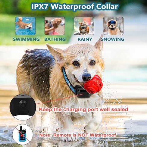 Citronella Bark Collar for Dogs with Remote, No Shock, 1000ft Range in Kuwait