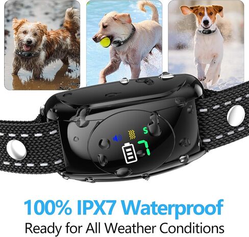 Bark Collar, Bark Collar for Medium Dogs & Large Dogs 15-120LBS in Kuwait