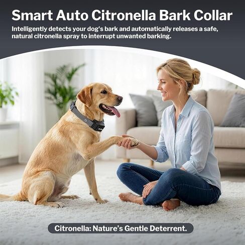 Citronella Dog Bark Collar for Large Medium Small Dogs, No Shock Bark Collar with 3 Adjustable Sensitivity & Spray Levels, Rechargeable Anti-Bark Collars with 2 Collar Straps, Black in Kuwait