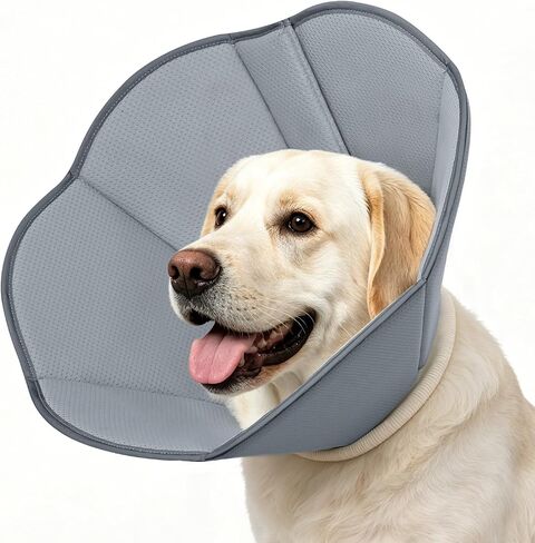 YJGF Soft Dog Cone Collar, Elizabethan Dog Cone Collar Alternative,XXL in Kuwait